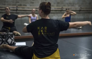 Dispositif Récif Karukera Ballet