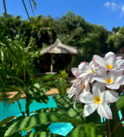 Le Petit Havre Tropical Guadeloupe Gites Massages et Spa