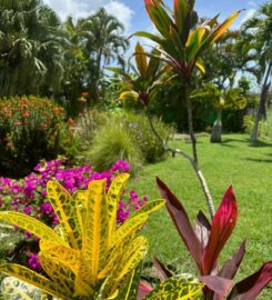 Le Petit Havre Tropical Guadeloupe Gites Massages et Spa