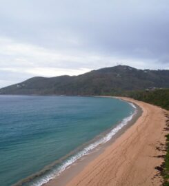 Geoffrey Black Production